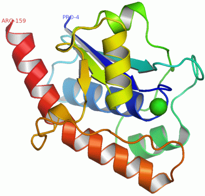 Image Asym./Biol. Unit - manually