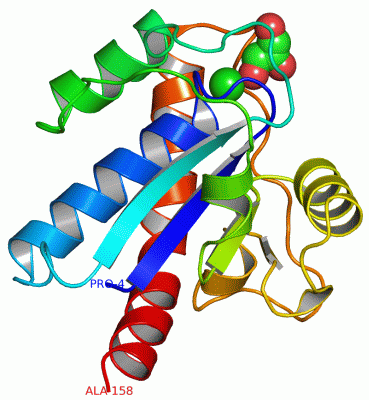 Image Asym./Biol. Unit - manually