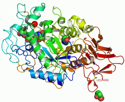 Image Asym./Biol. Unit - manually