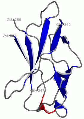 Image Asym.Unit - manually