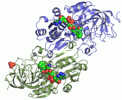 Image Asym./Biol. Unit - manually