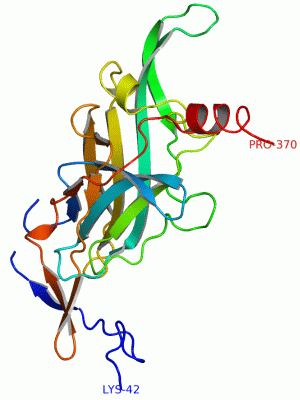 Image Asym.Unit - manually