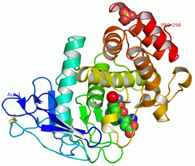 Image Asym./Biol. Unit - manually