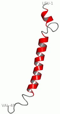 Image NMR Structure - manually