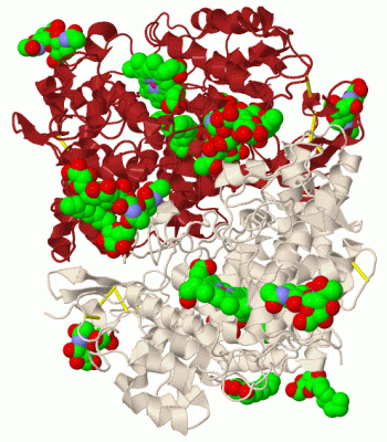 Image Biol.Unit 1 - manually