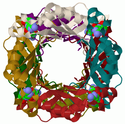 Image Biol.Unit 1 - manually