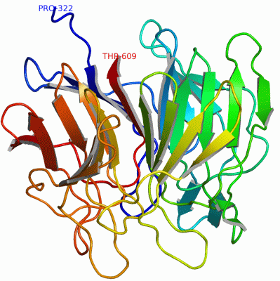 Image Asym./Biol. Unit - manually