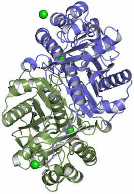 Image Asym./Biol. Unit - manually