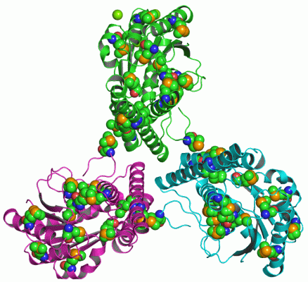 Image Asym.Unit - manually