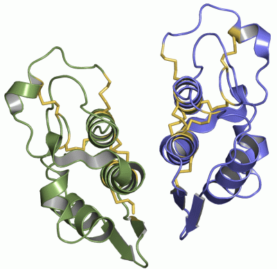 Image Asym./Biol. Unit - manually