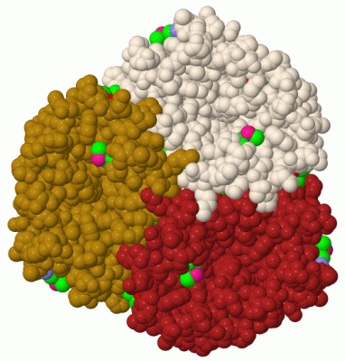 Image Biol.Unit 1 - manually