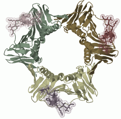 Image Biol.Unit 1 - manually