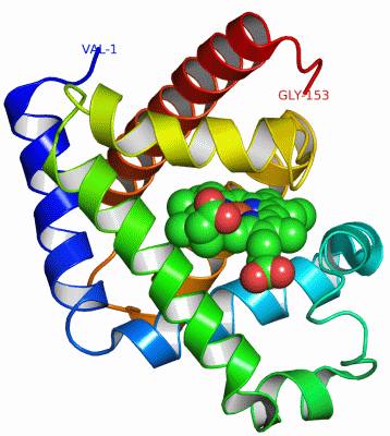 Image Asym./Biol. Unit - manually