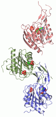Image Asym.Unit - manually