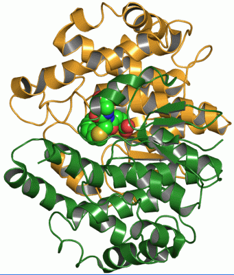 Image Asym./Biol. Unit - manually