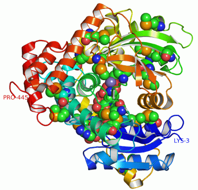 Image Asym./Biol. Unit - manually