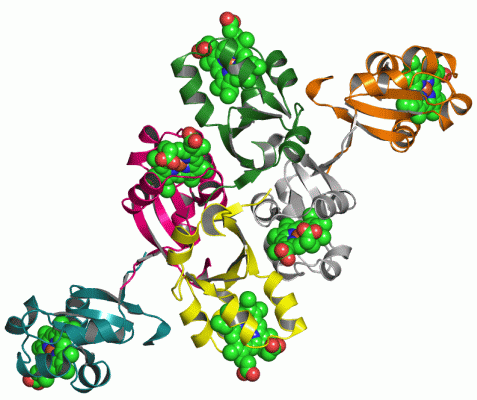 Image Asym.Unit - manually