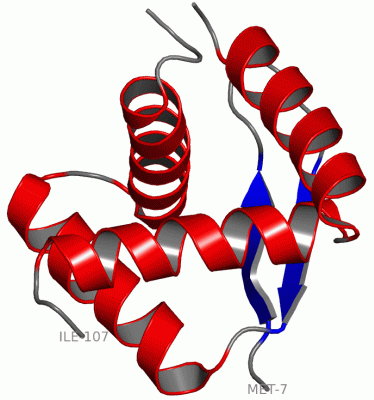 Image Asym./Biol. Unit - manually