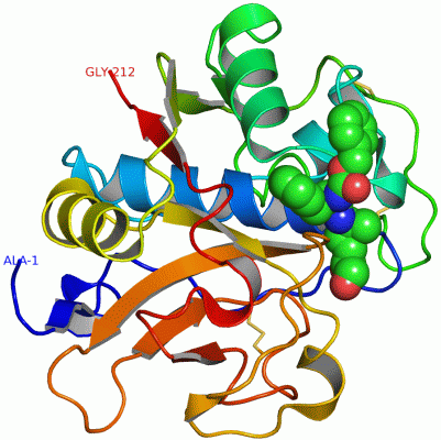 Image Asym./Biol. Unit - manually