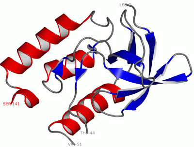 Image Asym./Biol. Unit - manually