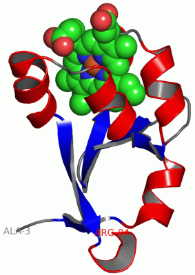 Image Asym./Biol. Unit - manually