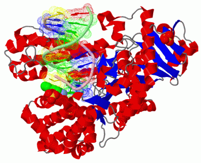 Image Asym./Biol. Unit - manually