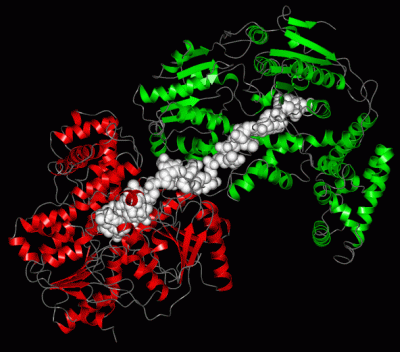 Image Asym./Biol. Unit - manually