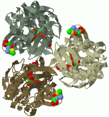 Image Biol.Unit 1 - manually