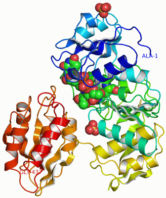 Image Asym./Biol. Unit - manually