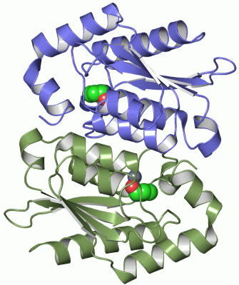 Image Asym./Biol. Unit - manually