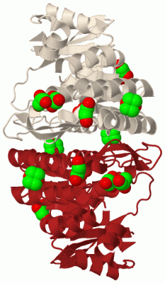 Image Biol.Unit 1 - manually