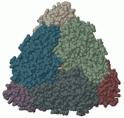 Image Biol.Unit 1 - manually