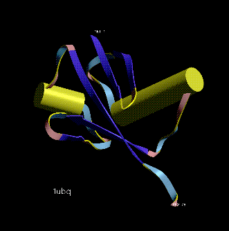 Image Asym./Biol. Unit - manually