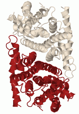 Image Biol.Unit 1 - manually