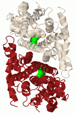 Image Biol.Unit 1 - manually