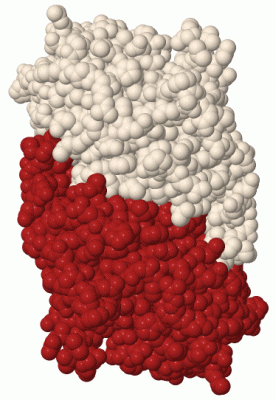 Image Biol.Unit 1 - manually