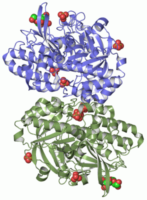 Image Asym./Biol. Unit - manually