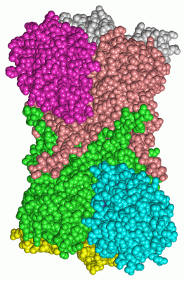 Image Asym./Biol. Unit - manually