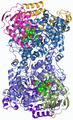 Image Asym./Biol. Unit - manually