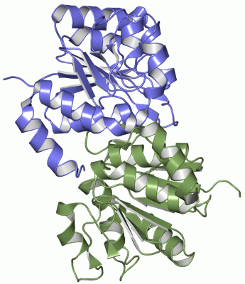 Image Asym./Biol. Unit - manually