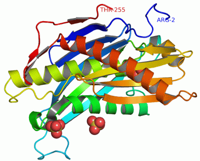 Image Asym.Unit - manually