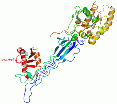 Image Asym./Biol. Unit - manually