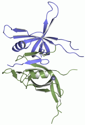 Image Asym.Unit - manually