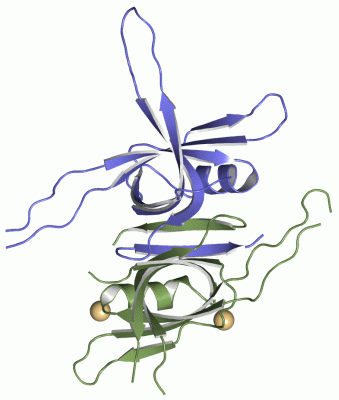 Image Asym.Unit - manually