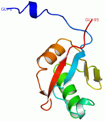 Image NMR Structure - manually