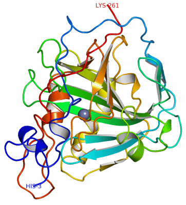 Image Asym./Biol. Unit - manually