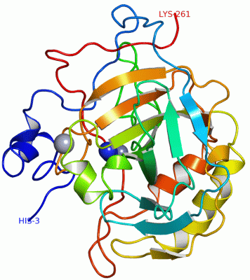 Image Asym./Biol. Unit - manually