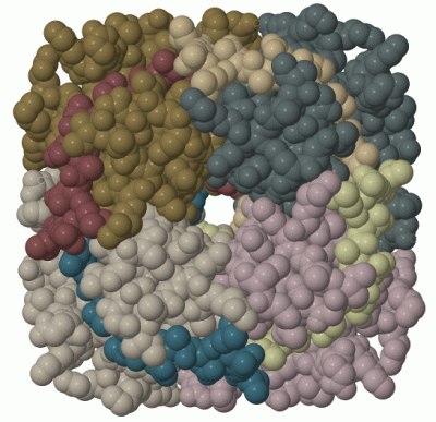 Image Biol.Unit 1 - manually