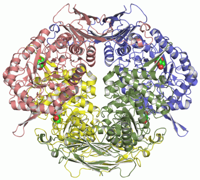Image Asym./Biol. Unit - manually