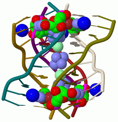 Image Biol.Unit 1 - manually